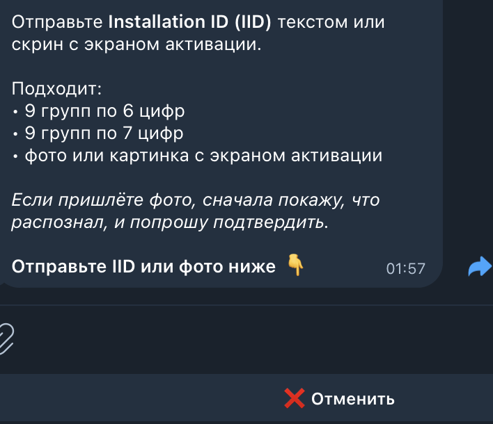 Экран функции активации Windows по телефону в боте